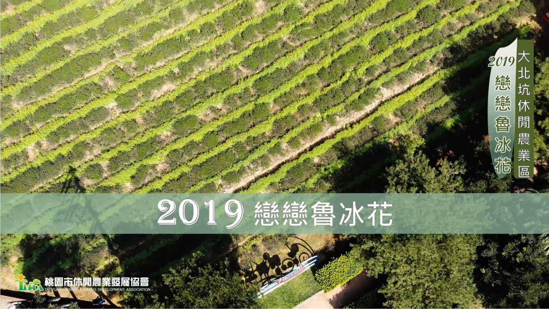 2019戀戀魯冰花